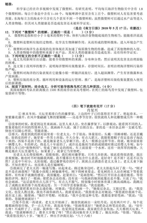 广东省考真题答案解析及备考策略探讨