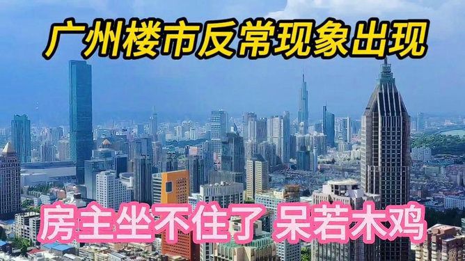 广东省湛江市传销现象深度解析