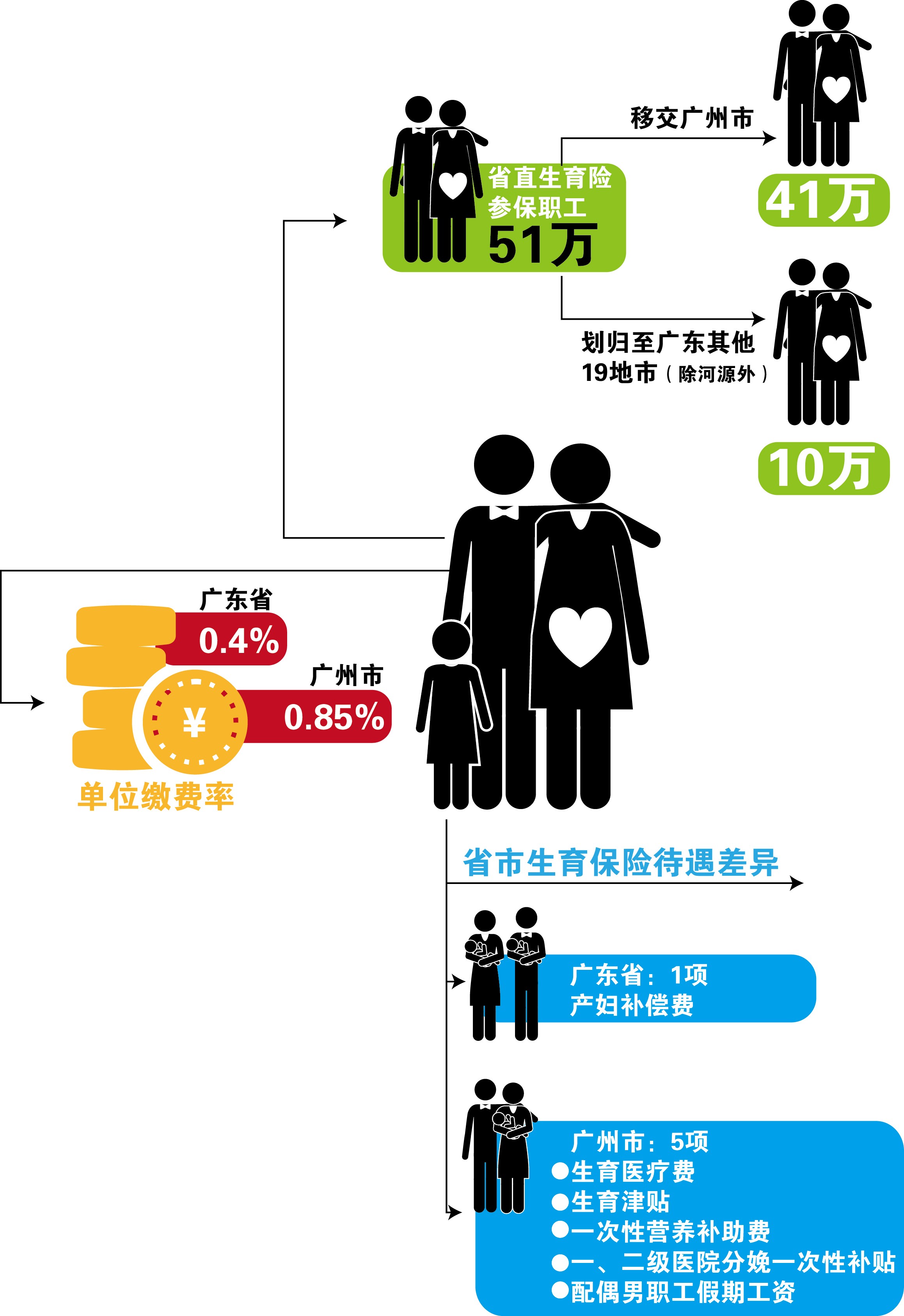 广东省生育保险条例详解