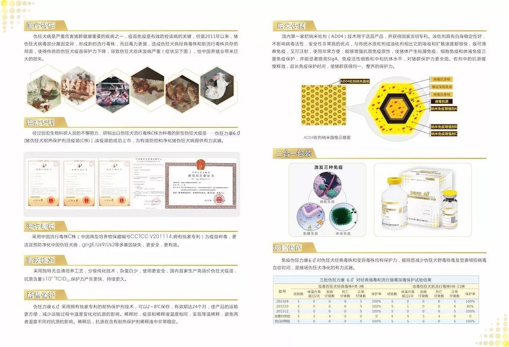 江苏朴渡健康科技，引领健康科技新潮流