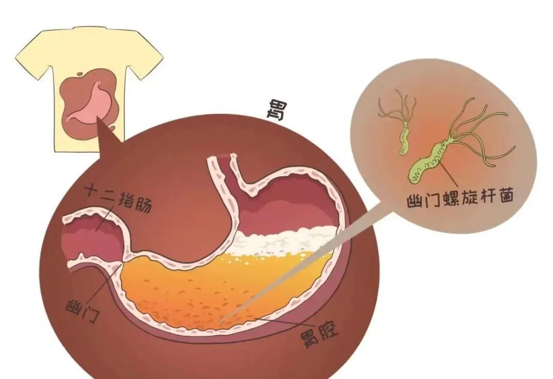 八个月宝宝智力标准解析