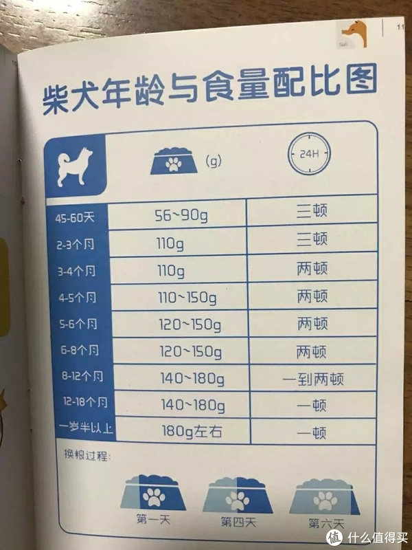 一个月小狗的狗粮摄入量解析