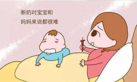 婴儿戒奶的最佳时间与策略，几个月是最佳时机？