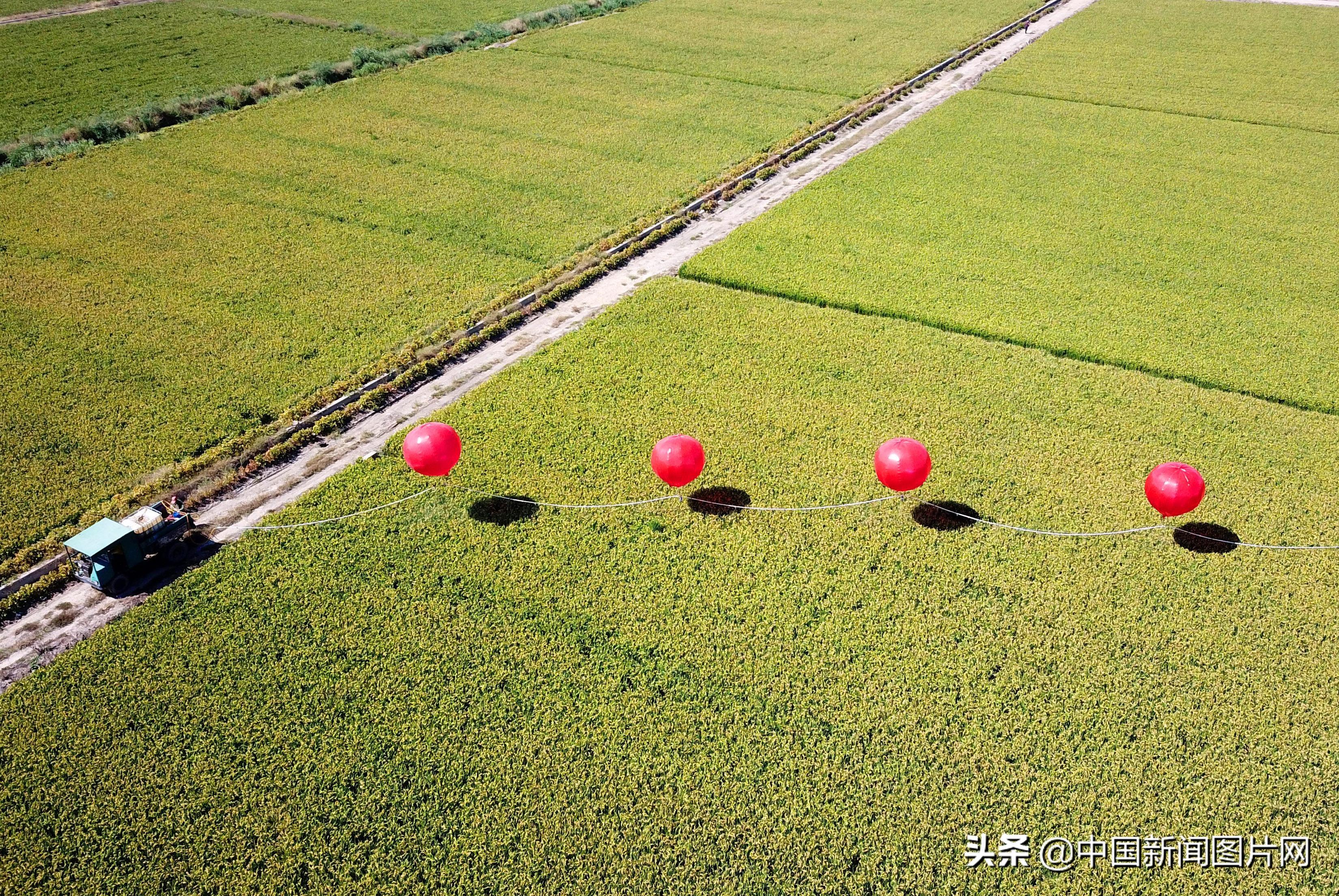 江苏新氢动力科技有限公司，引领新能源技术的前沿先锋