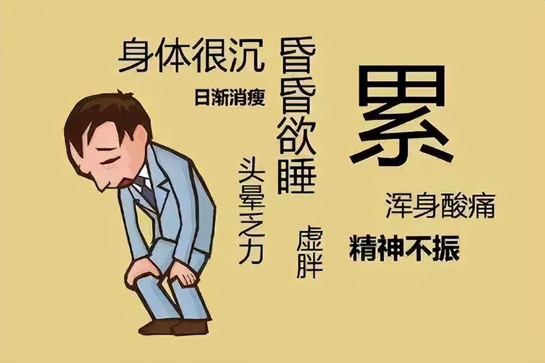 孕六个月好累，是女孩吗？——孕期疲劳与胎儿性别的关系探讨