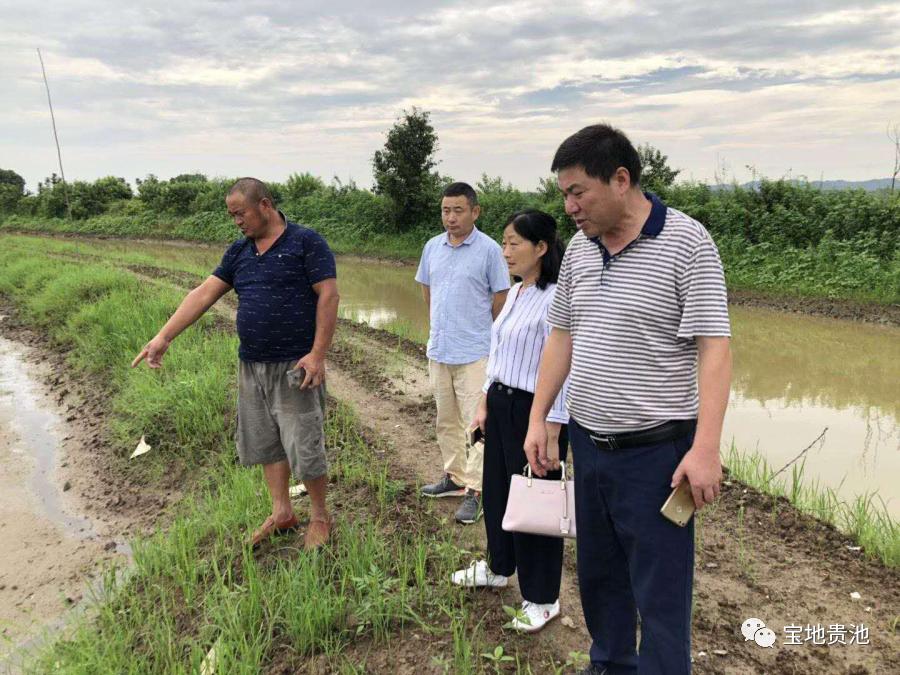 广东省东莞市清溪镇天气预报