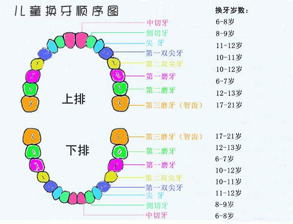 宝宝六个月尚未长牙，探寻原因与应对策略