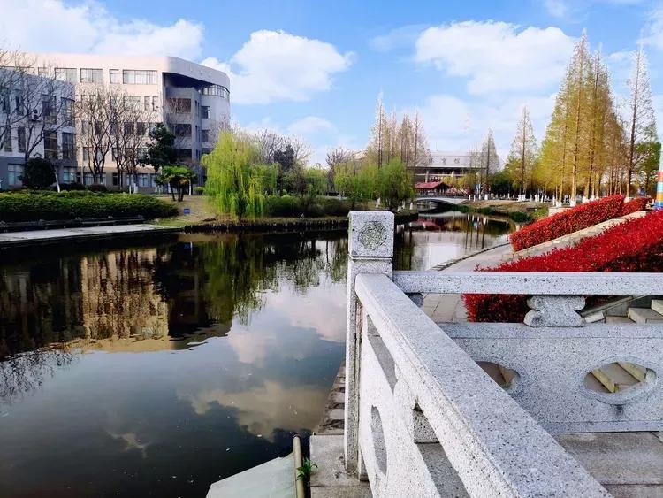 江苏科技大学与江苏大学的探索之旅，两所高校的成长与未来展望