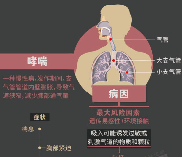 轻微干咳一个月，探寻原因与解决方案