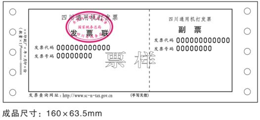 广东省客运发票概述