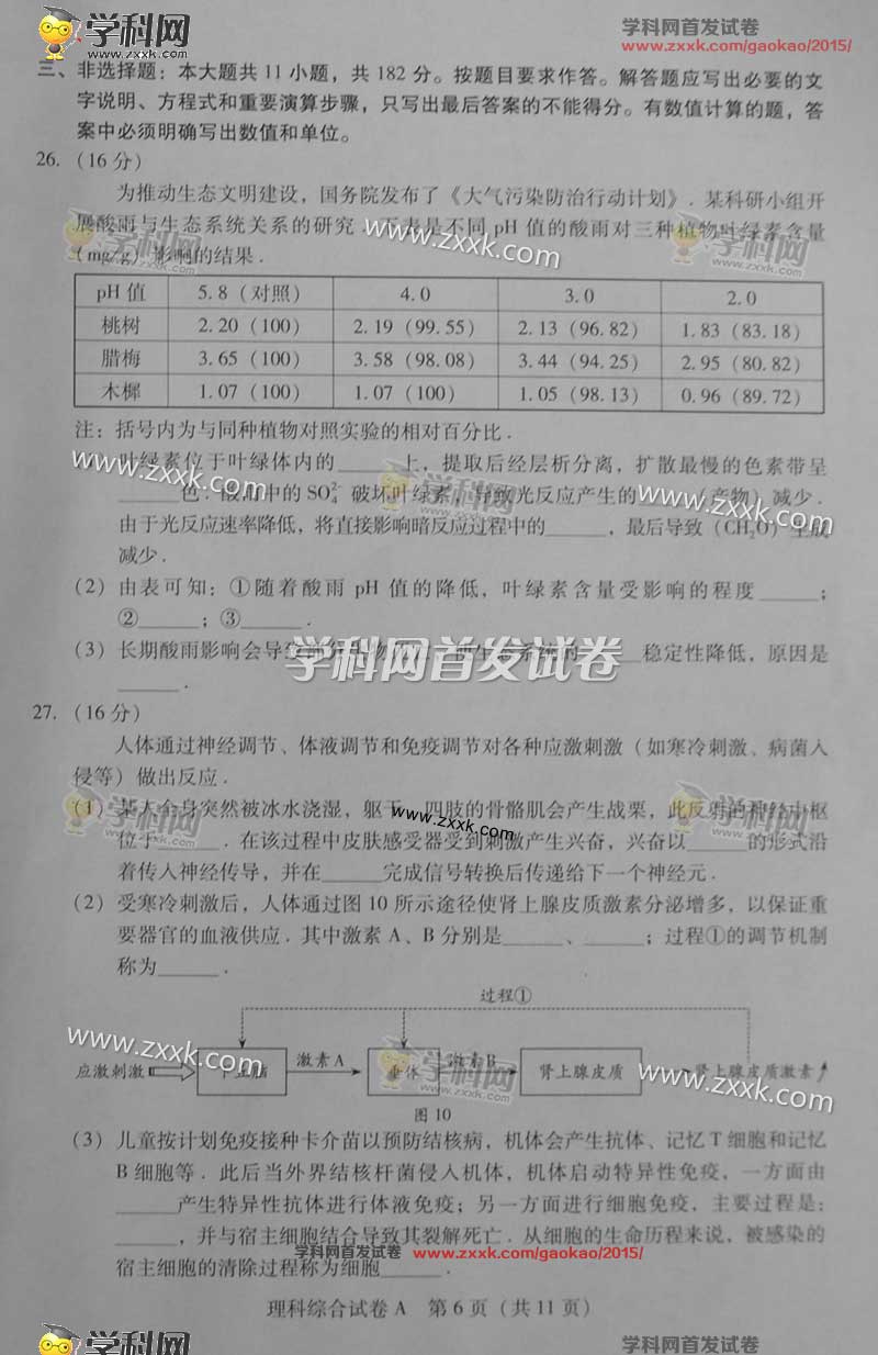 广东省高考哪个卷子最难，分析比较与探讨